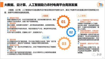 2018年中國(guó)農(nóng)村電商行業(yè)發(fā)展洞察 一畝田網(wǎng)絡(luò)的實(shí)踐與啟示